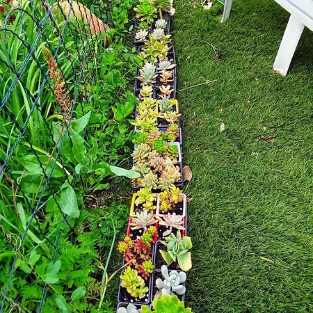 Feriehus Eden T2 Dans Aile De La Londe-les-Maures